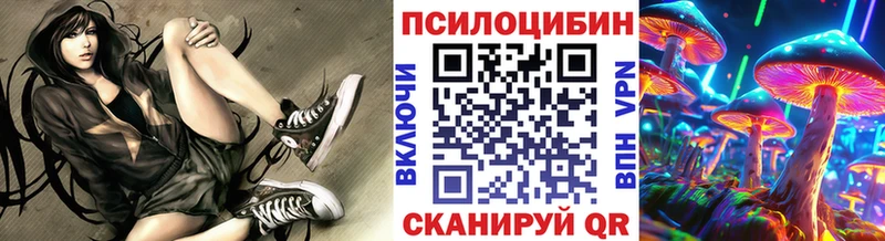 даркнет сайт  Кисловодск  блэк спрут ONION  Галлюциногенные грибы Cubensis 